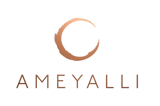 AmeyalliFullLogo_FoilEffect-600w